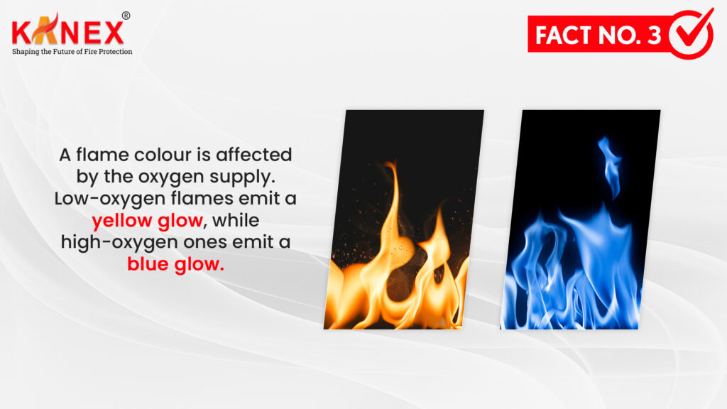 Fact of Fire 3