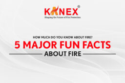5 Major Unknown FUN FACTS of Fire